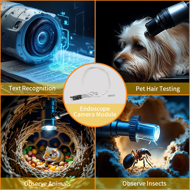 広角 720P HD OV9734 CMOS 分離型 Type-C 内視鏡カメラモジュール