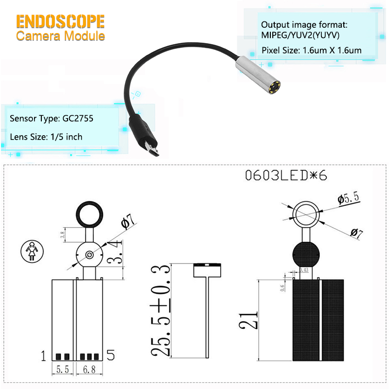 Endoskopisches Kameramodul GC2755, Farbbildsensor mit 7 mm Durchmesser