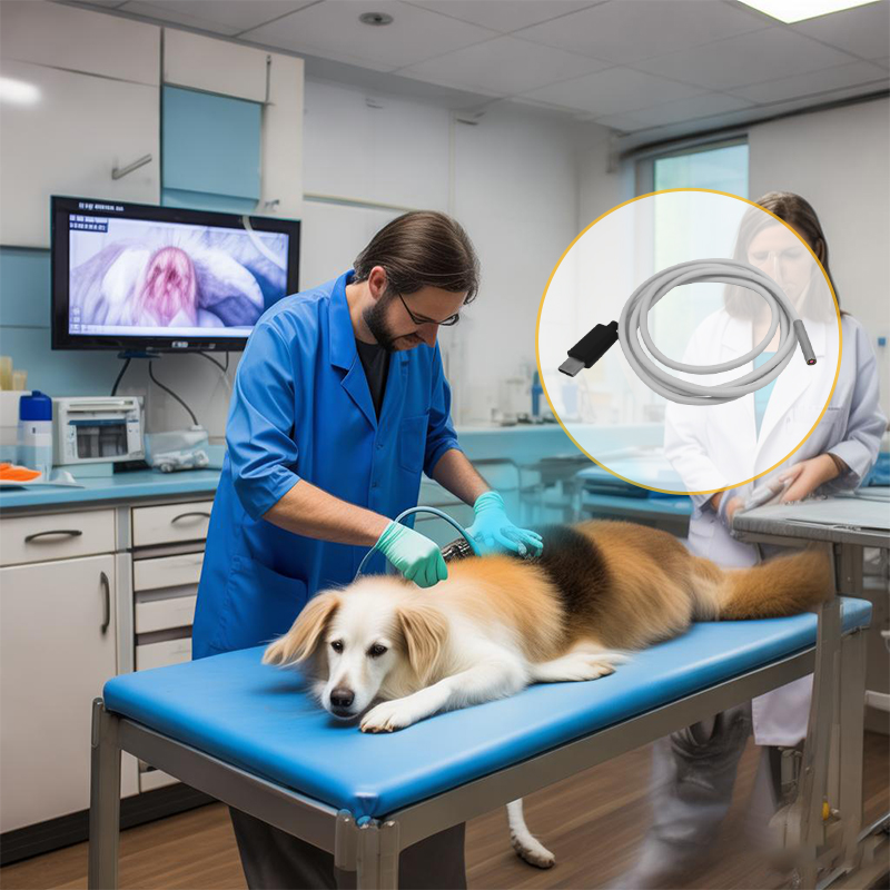 La poussi&egrave;re m&eacute;tallique pr&eacute;sente dans l'atelier de soudage peut-elle obstruer l'objectif du module de cam&eacute;ra de l'endoscope&nbsp;? 